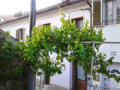 B&B Al Ferdinandeo Trieste Exteriör bild
